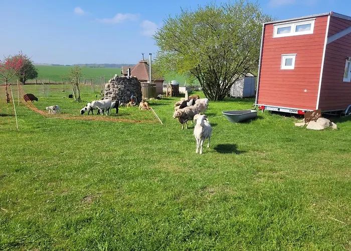 Tiny House Semesterbostad