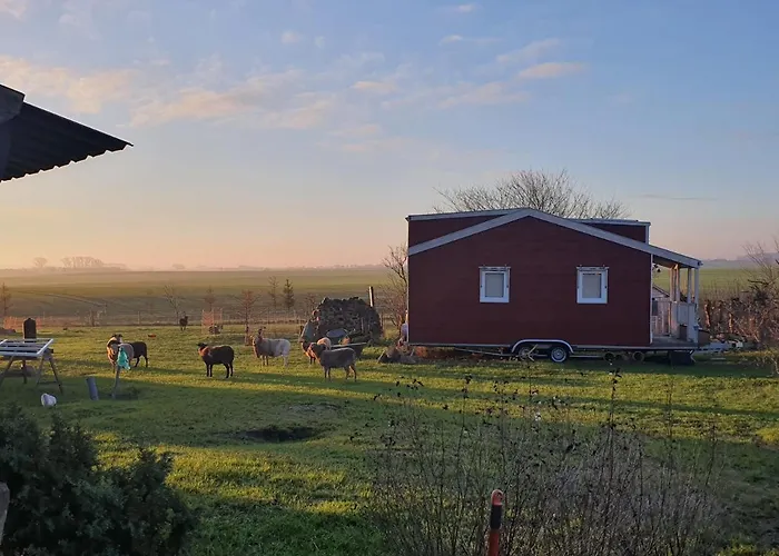 Semesterbostad Tiny House Schonbeck (Mecklenburg-Vorpommern)