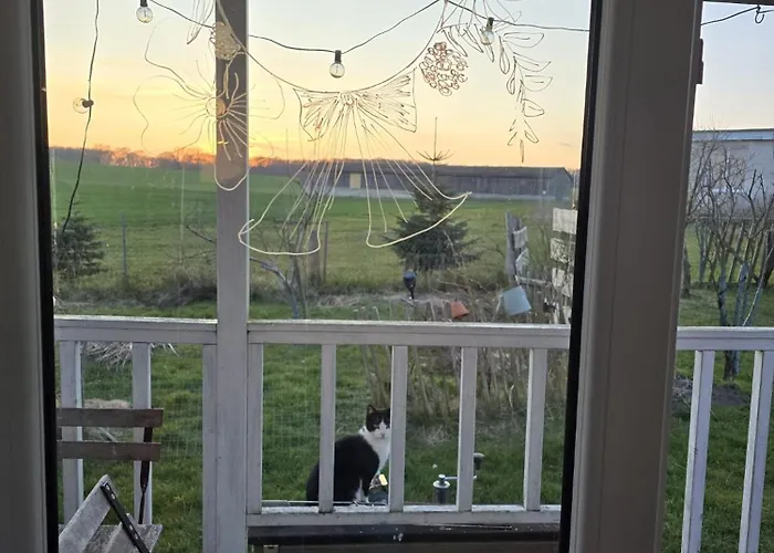 Semesterbostad Tiny House Schonbeck (Mecklenburg-Vorpommern)